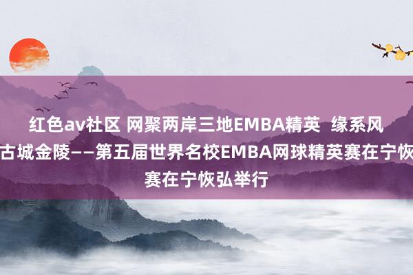 红色av社区 网聚两岸三地EMBA精英  缘系风浪际会古城金陵——第五届世界名校EMBA网球精英赛在宁恢弘举行