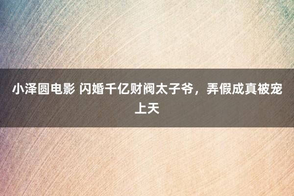 小泽圆电影 闪婚千亿财阀太子爷，弄假成真被宠上天
