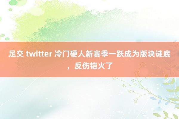 足交 twitter 冷门硬人新赛季一跃成为版块谜底，反伤铠火了
