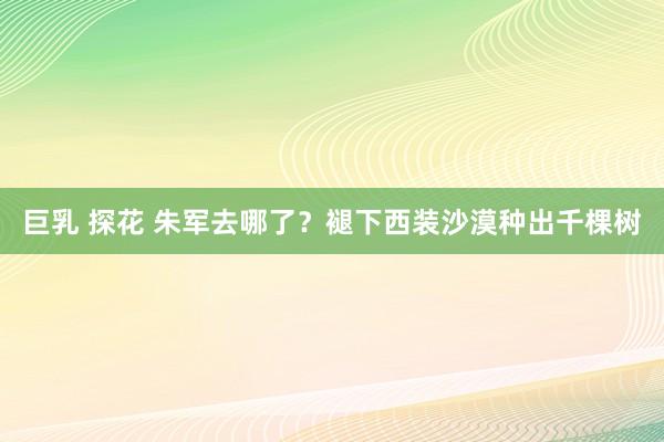 巨乳 探花 朱军去哪了？褪下西装沙漠种出千棵树