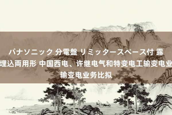 パナソニック 分電盤 リミッタースペース付 露出・半埋込両用形 中国西电、许继电气和特变电工输变电业务比拟