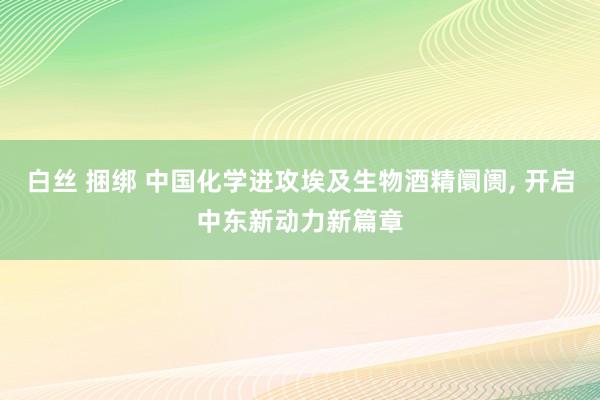 白丝 捆绑 中国化学进攻埃及生物酒精阛阓, 开启中东新动力新篇章