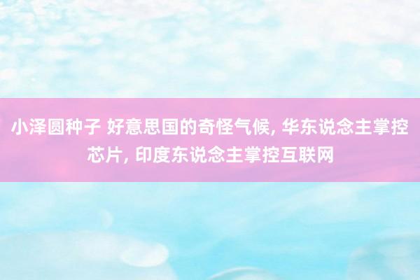 小泽圆种子 好意思国的奇怪气候, 华东说念主掌控芯片, 印度东说念主掌控互联网