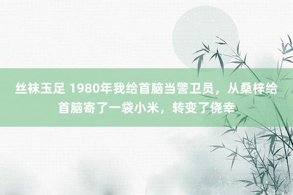 丝袜玉足 1980年我给首脑当警卫员，从桑梓给首脑寄了一袋小米，转变了侥幸