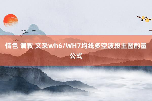 情色 调教 文采wh6/WH7均线多空波段主图酌量公式