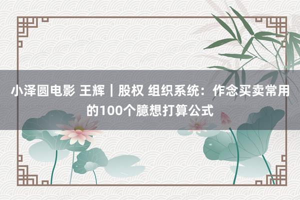 小泽圆电影 王辉｜股权 组织系统：作念买卖常用的100个臆想打算公式
