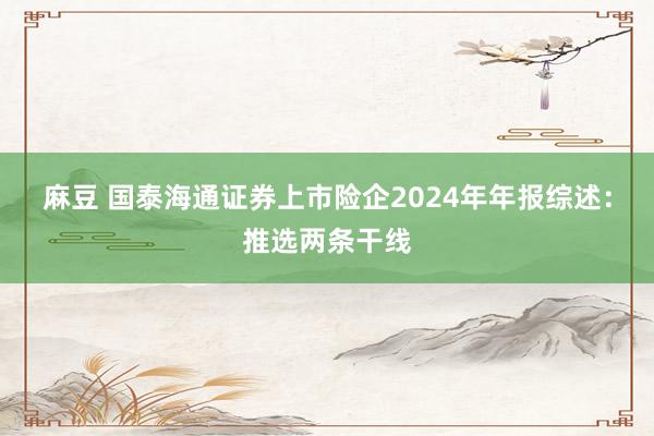 麻豆 国泰海通证券上市险企2024年年报综述：推选两条干线