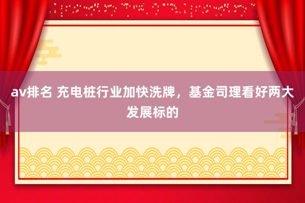 av排名 充电桩行业加快洗牌，基金司理看好两大发展标的
