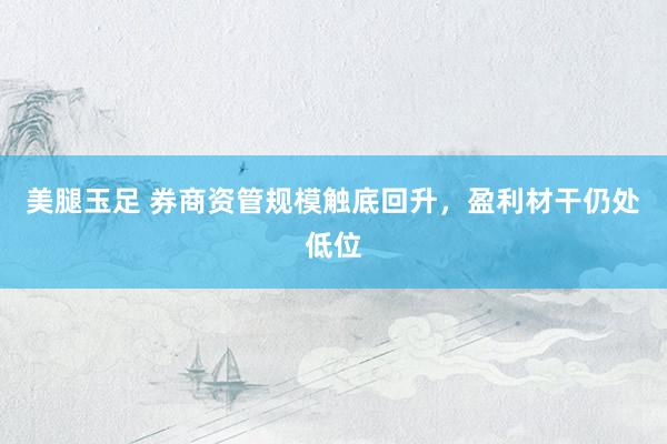 美腿玉足 券商资管规模触底回升，盈利材干仍处低位