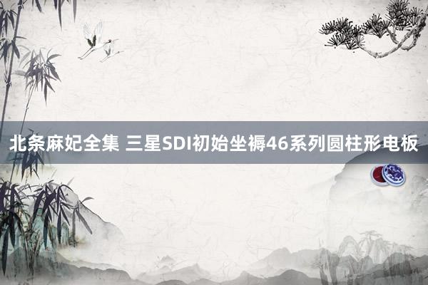 北条麻妃全集 三星SDI初始坐褥46系列圆柱形电板